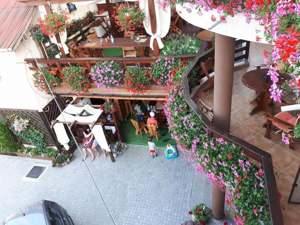 Maison d'hôtes Pensiunea Daiana Năvodari